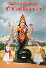 Nagnechi Mata Photos : नागणेची माता मंदिर | नागाणा धाम