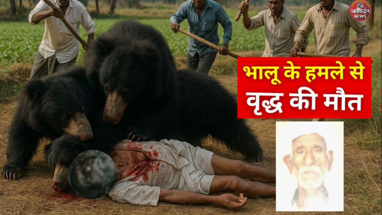 Bear Attack on old man in rajsamand