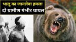 Udaipur bear attack