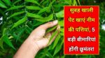 Neem leaves health benefits