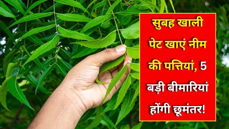 Neem leaves health benefits