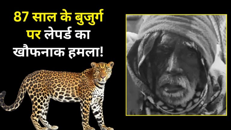 Rajsamand Leopard Attack