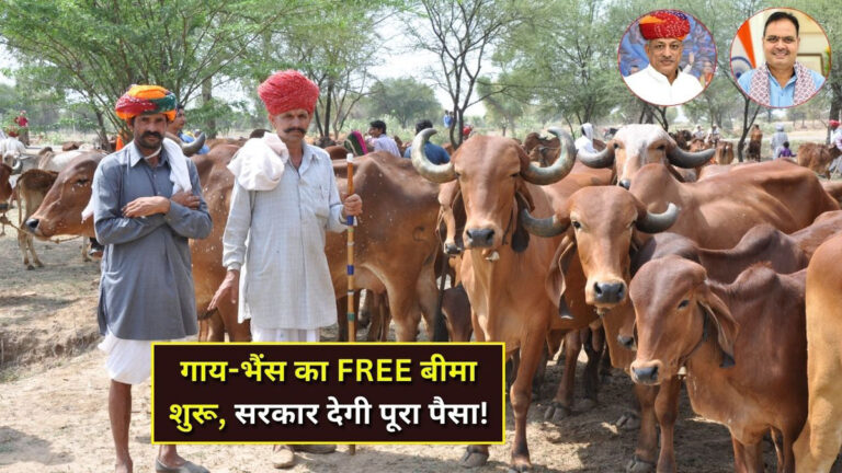 Mangala Pashu Bima Yojana