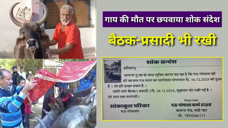 cow death condolence news