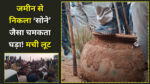 Rajasthan Gold Pot News