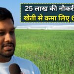 MBA farmer success story