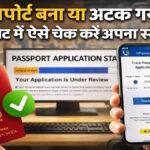 Passport Application Status