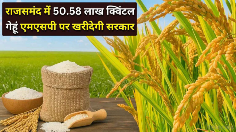 Rajsamand MSP Procurement