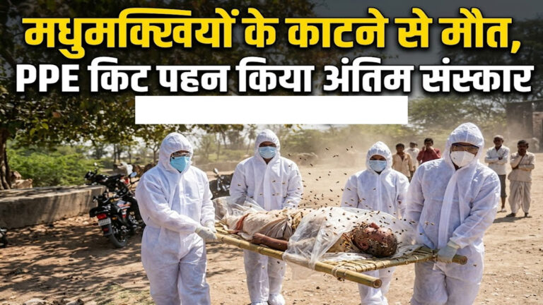 Bee Attack Chittorgarh