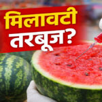 watermelon adulteration