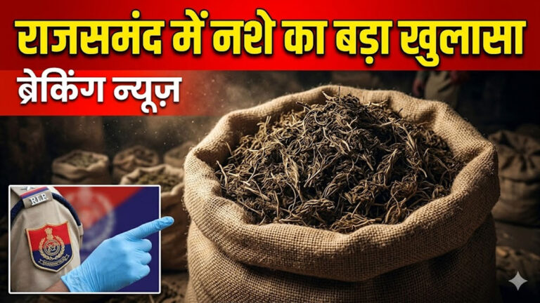 Rajsamand ganja farming news