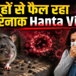 Hantavirus symptoms