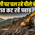 Aravalli Hills Cutting News