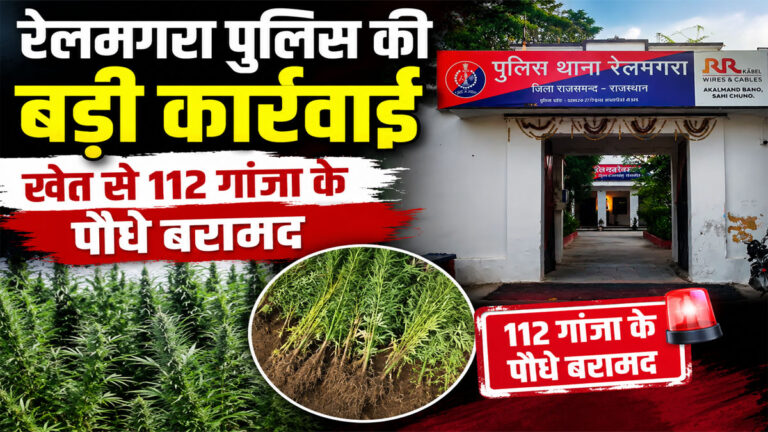 Rajsamand Ganja Plants Seized
