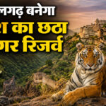 Kumbhalgarh Tiger Reserve News