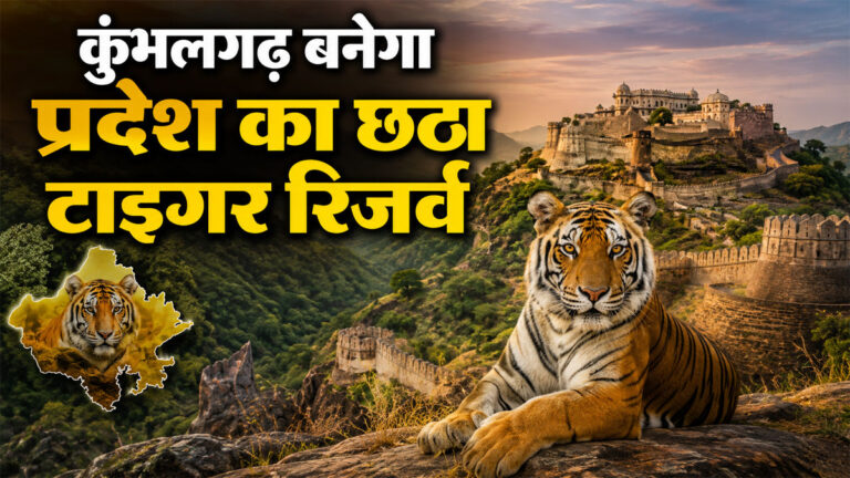 Kumbhalgarh Tiger Reserve News