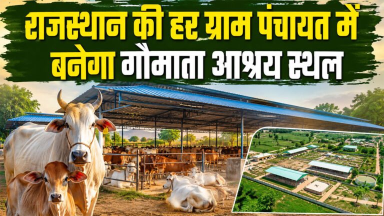Rajasthan Gau Mata shelter scheme