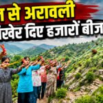 Aravalli Seed Ball Campaign