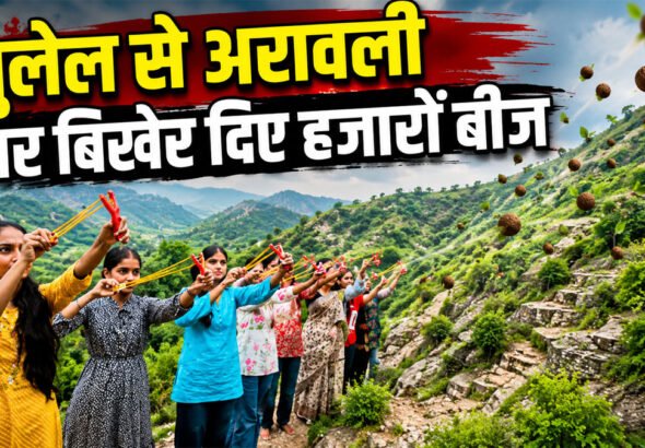 Aravalli Seed Ball Campaign