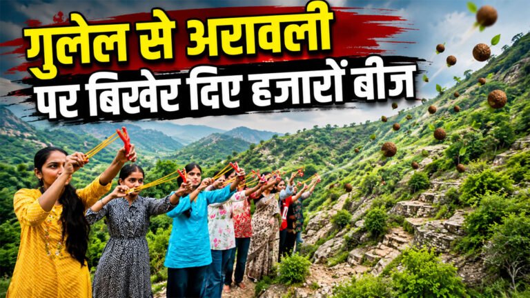 Aravalli Seed Ball Campaign