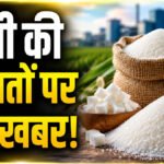 Sugar Price Today