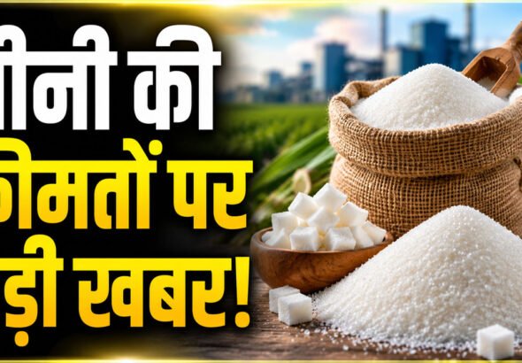 Sugar Price Today