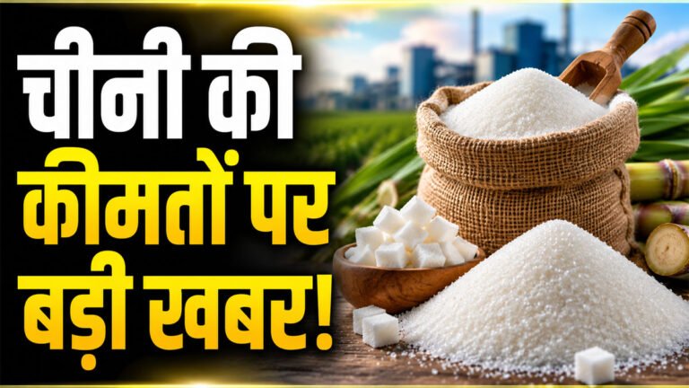 Sugar Price Today
