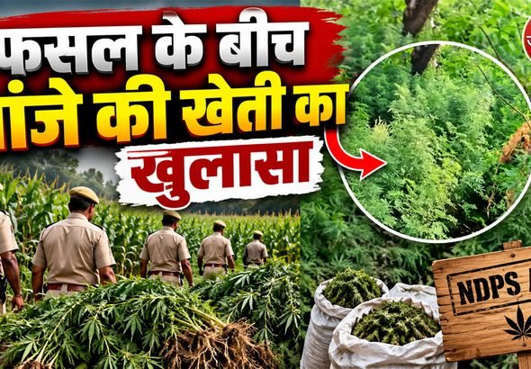 Bhim Police Ganja Seizure