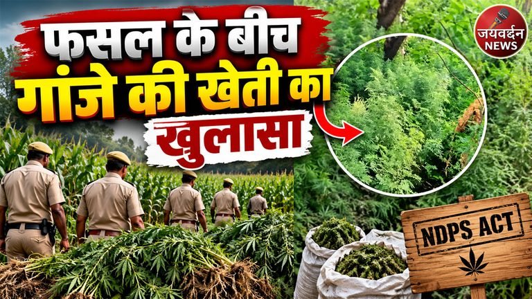 Bhim Police Ganja Seizure