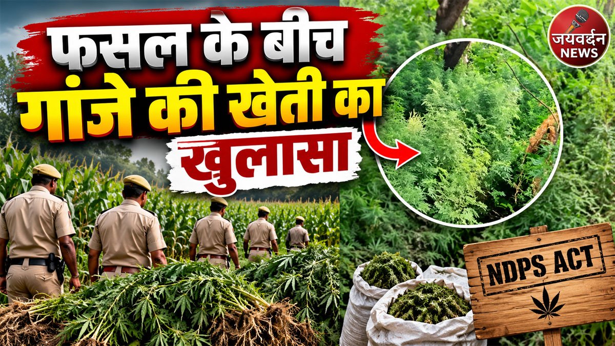 Bhim Police Ganja Seizure