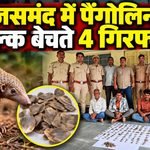 Rajsamand Pangolin Skin Seized