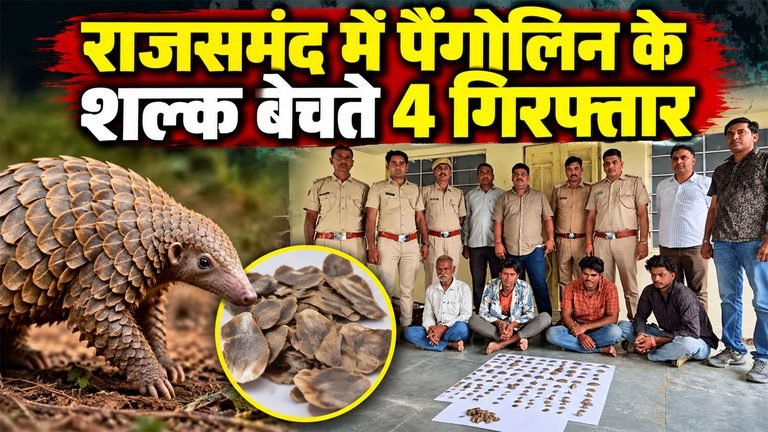 Rajsamand Pangolin Skin Seized