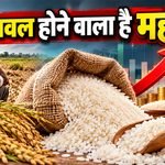 India Rice Production Decline