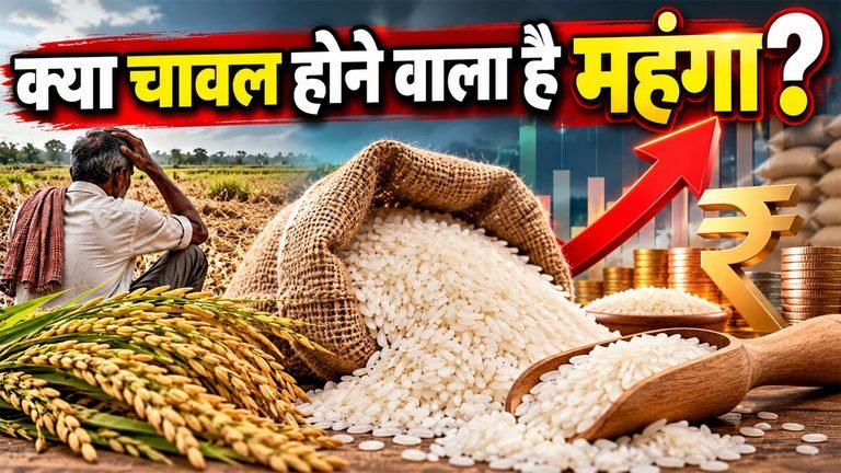 India Rice Production Decline